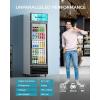 imageEUHOMY 114CuFt Back Bar Cooler With 3 Glass Doors 53quot Counter Height Beverage Refrigerator with LED Lighting Commercial Display Bar Fridge for BeerSoda DrinksWine Black9 CUFT Commercial Refrigerator